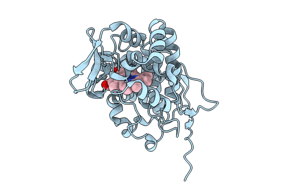 9C8L image