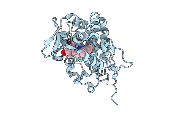9C8P image
