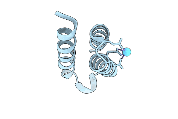 9C8X image