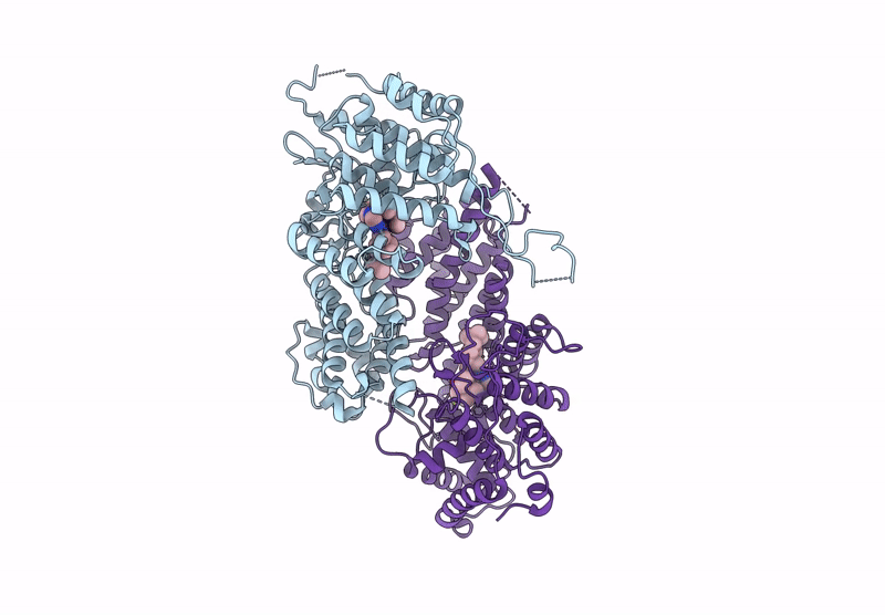 9C92 image