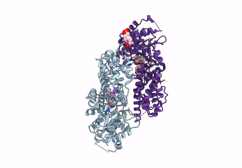 9C93 image