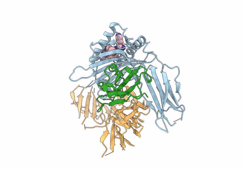 9C96 image