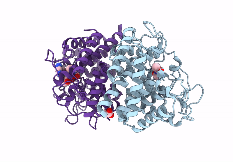 9C9B image