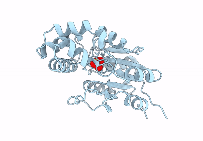 9C9E image