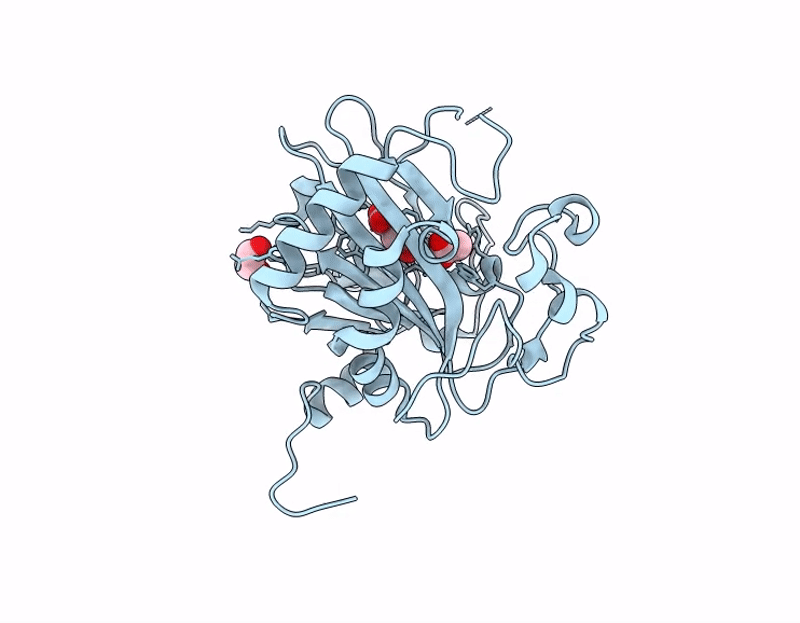 9C9N image