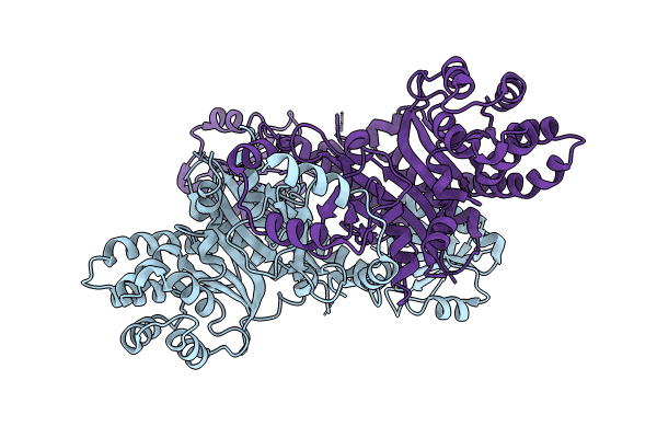 9C9R image