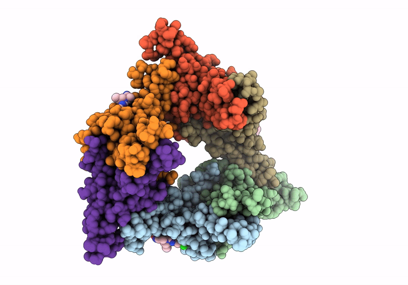 9C9V image