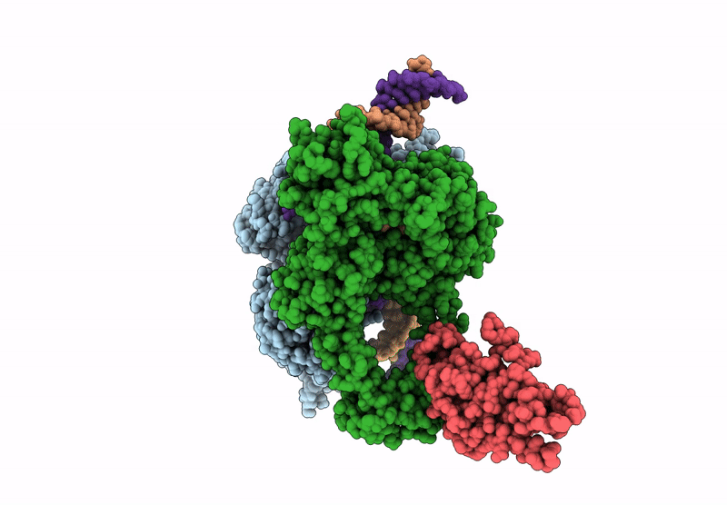 9C9W image