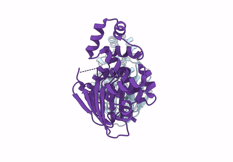 9CA5 image