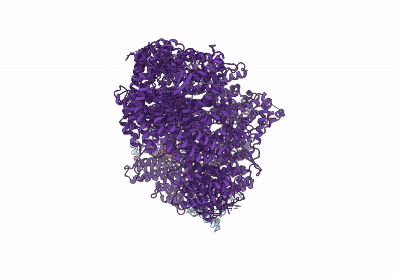 9CAD image