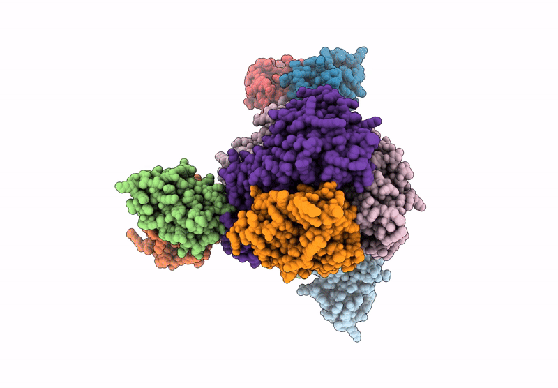 9CB1 image