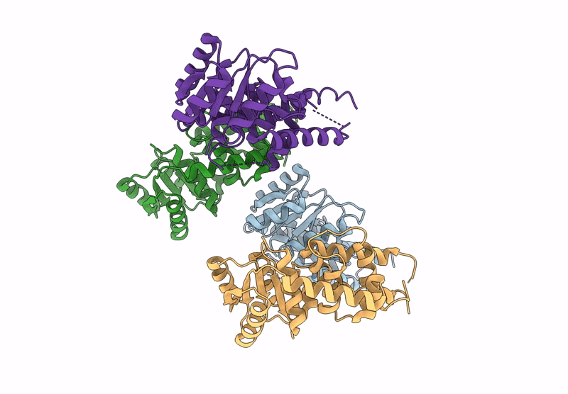9CB6 image