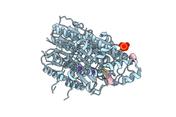 9CBG image
