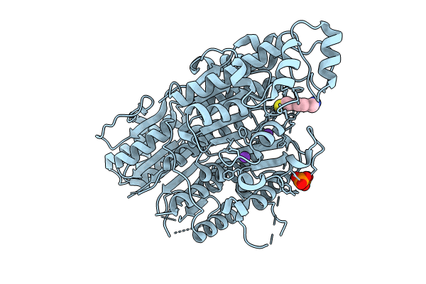 9CBH image
