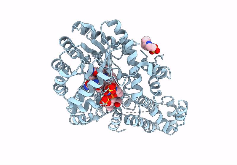 9CBQ image