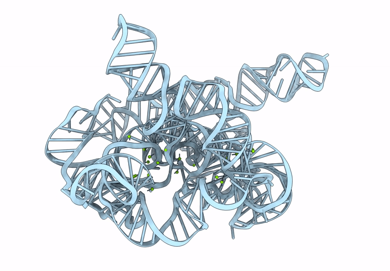 9CBU image