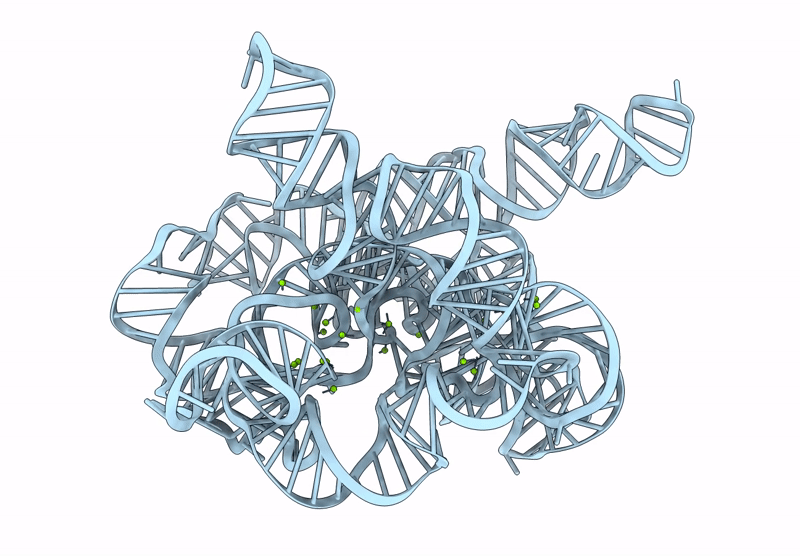 9CBW image