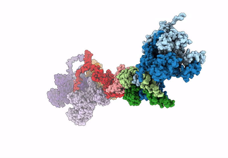 9CC7 image
