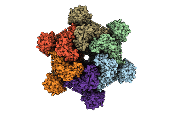 9CC8 image