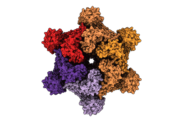 9CC9 image