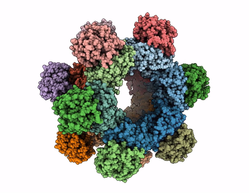 9CCA image