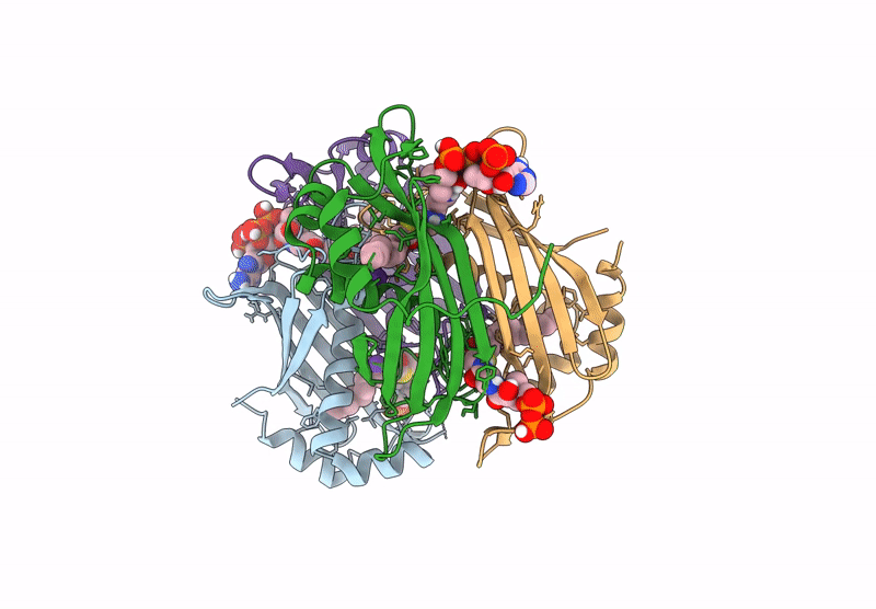 9CCR image