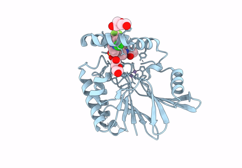 9CCZ image