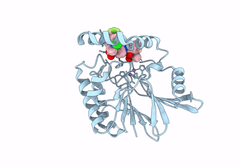 9CD1 image