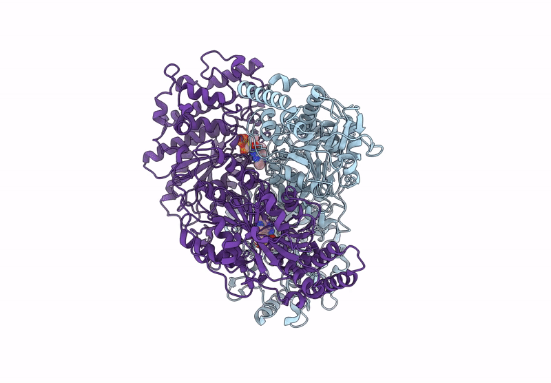 9CD4 image
