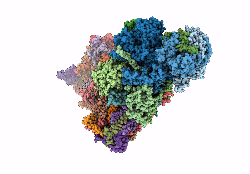 9CD6 image