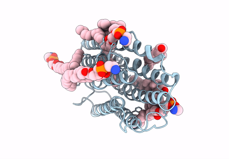 9CDD image
