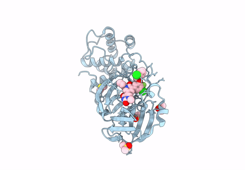 9CDK image