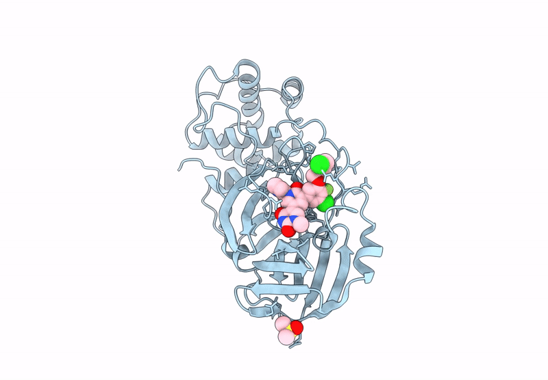 9CDM image