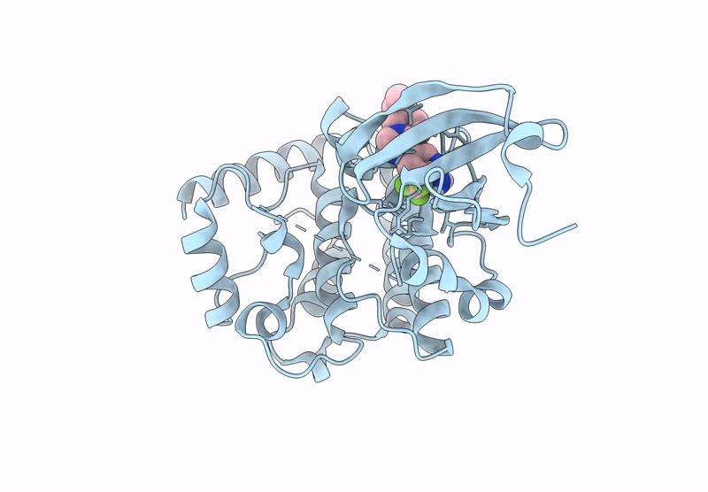 9CDX image