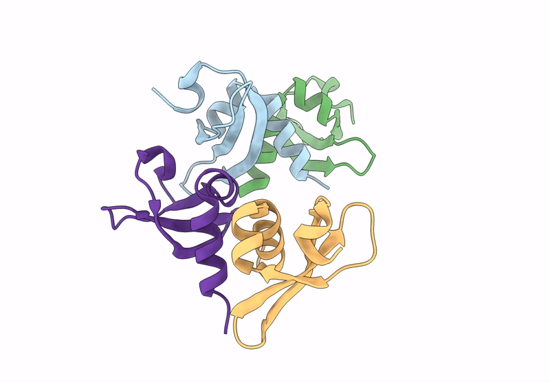9CEA image