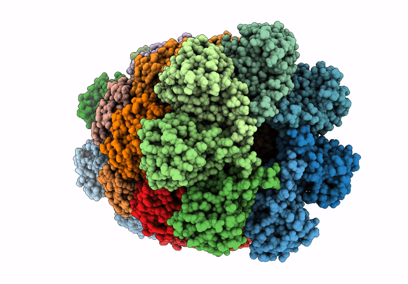 9CEG image