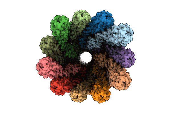 9CEP image