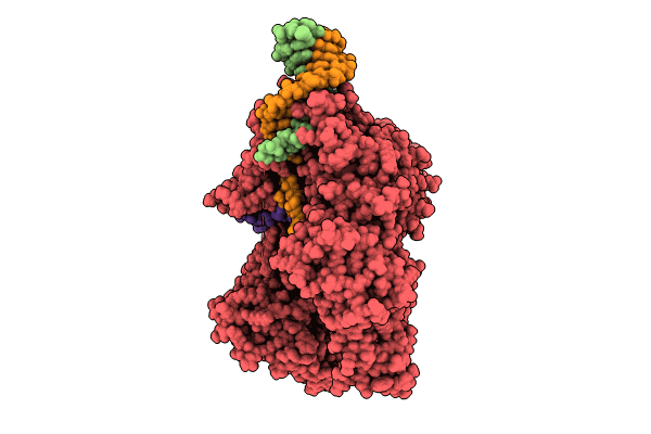 9CF1 image