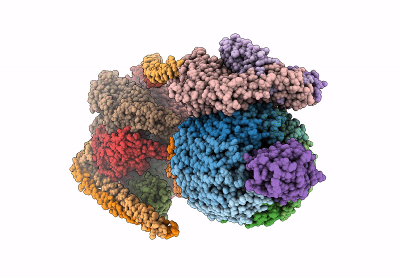 9CF8 image