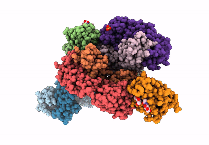 9CFA image