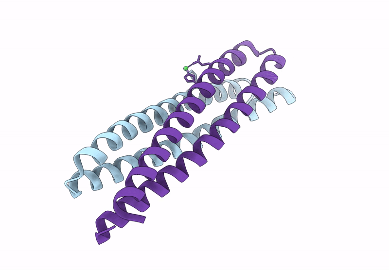 9CFS image