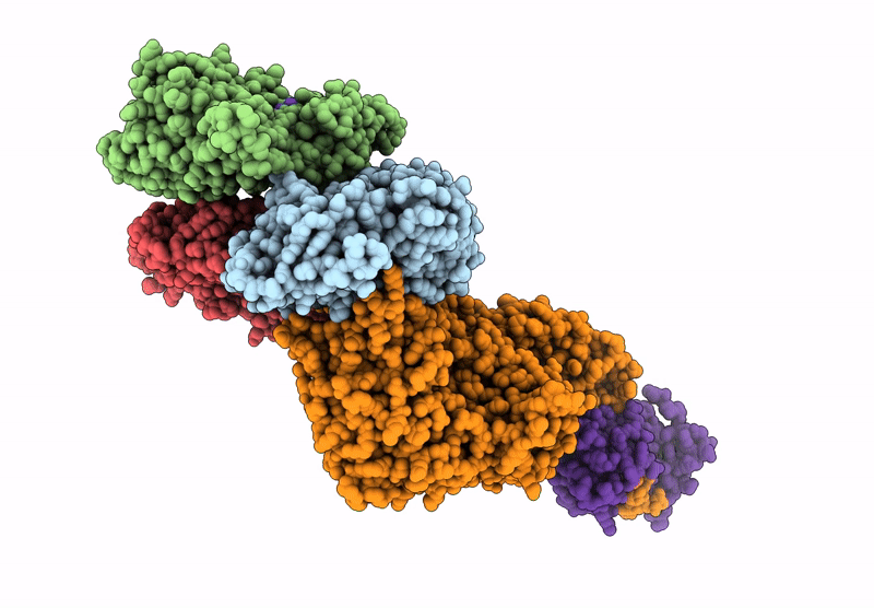 9CFV image