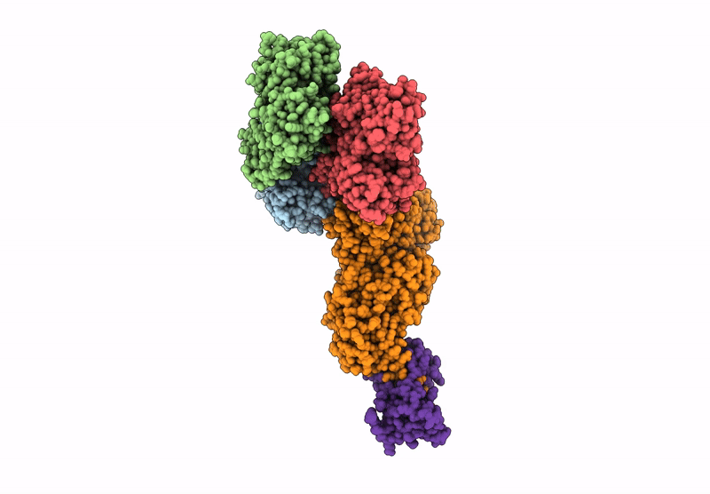 9CFX image