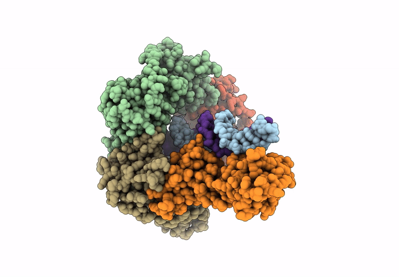 9CG4 image