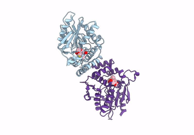 9CGL image