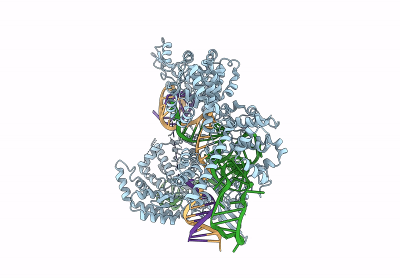 9CGU image