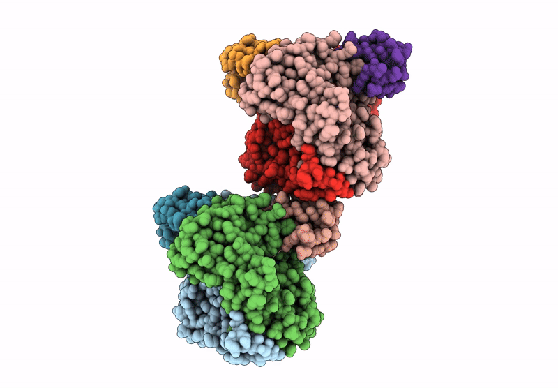 9CH3 image