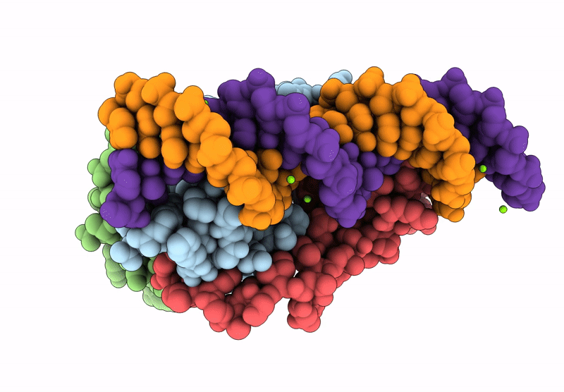 9CHN image