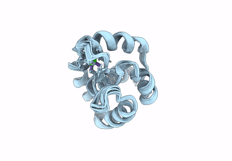 9CIC image