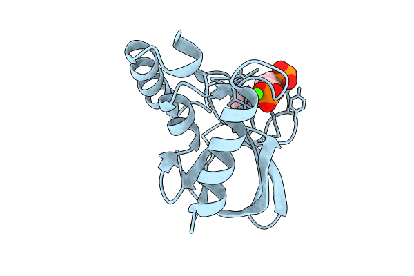 9CIL image
